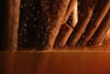 Jason Lim: <i>Duet</i> and <i>Still/Life</i> in Poland
