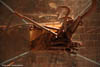 Jason Lim: <i>Duet</i> and <i>Still/Life</i> in Poland