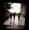<i>Ambulatorio</i>, 9<sup>th</sup> July 2012, Belfast, an installation for three weeks.