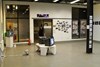 Between art and (its) documentation – a report from the exhibition <i>Art – Object – Registration 5</i>