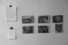 Documentation of art / art of documenting