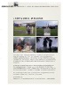 Documentation of art / art of documenting