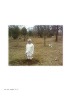 Documentation of art / art of documenting