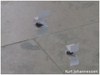 BELFAST INTERNATIONAL FESTIVAL OF PERFORMANCE ART - 2013