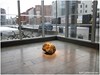 BELFAST INTERNATIONAL FESTIVAL OF PERFORMANCE ART - 2013