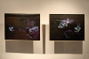 Peter Grzybowski <i>CHANGES.</i><sup>1</sup><br/> Art or Documentation?