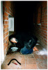 Brian Connolly’s reply to our project: <i>Timeline of Performance Art</i>