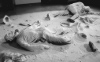 BBB Johannes Deimling's reply to our projects: <i>What is performance art?</i> and <i>Timeline of performance art</i>