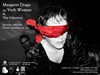 Margaret Dragu's reply to our project: <i>What is performance art</i> and <i>Timeline of performance art</i>