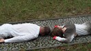 A new performance art festival on performers’ world map: OFFSCENICZNY Festival of Performative Activities (April 11-13th, 2013) in Czestochowa, Poland.