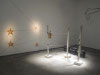 Dan Shipsides and Neal Beggs. <i>Shipsides and Beggs Projects:</i> Still not out of the woods. Belfast, MAC, Sunken Gallery, 29 June-19 August 2012